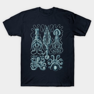 Ernst Haeckel Gamochonia Octopus Cerulean T-Shirt